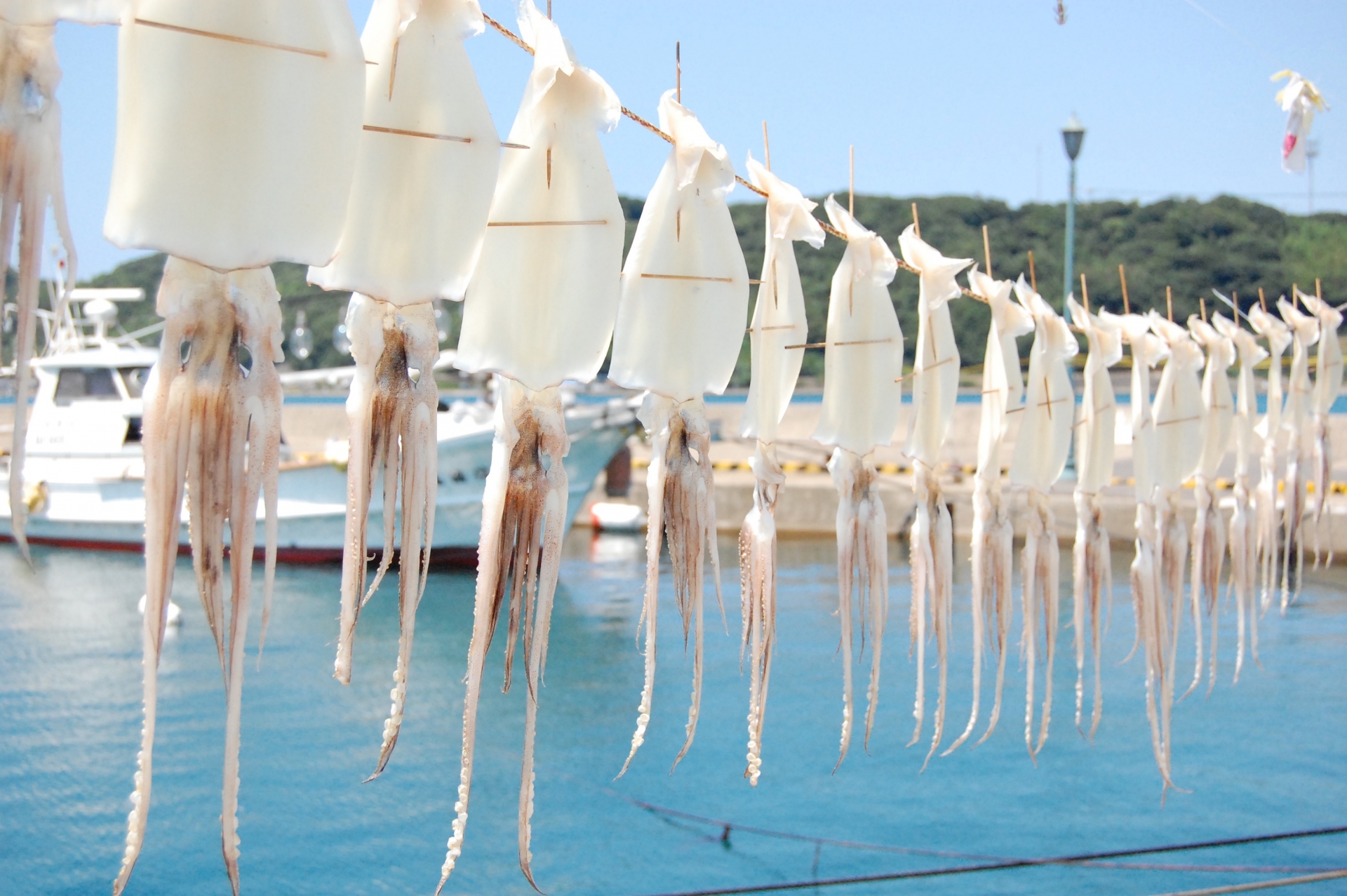 美しい海辺の風景に出会う 佐賀 大人旅 佐賀 唐津 伊万里 有田の旅行モデルコース こころから