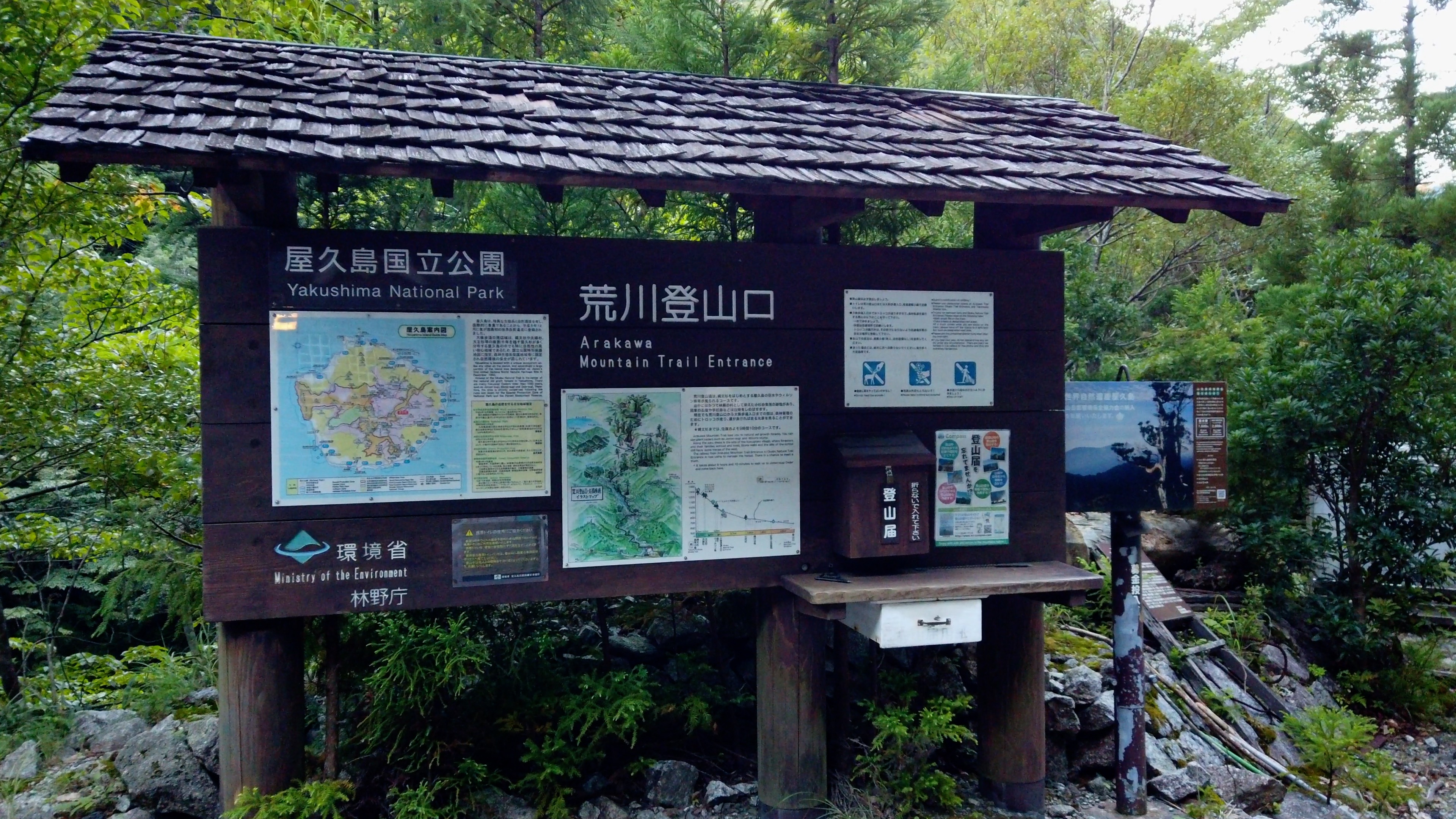 森の鼓動に耳を澄ます。世界遺産「屋久島」で自然の偉大さを体感する旅