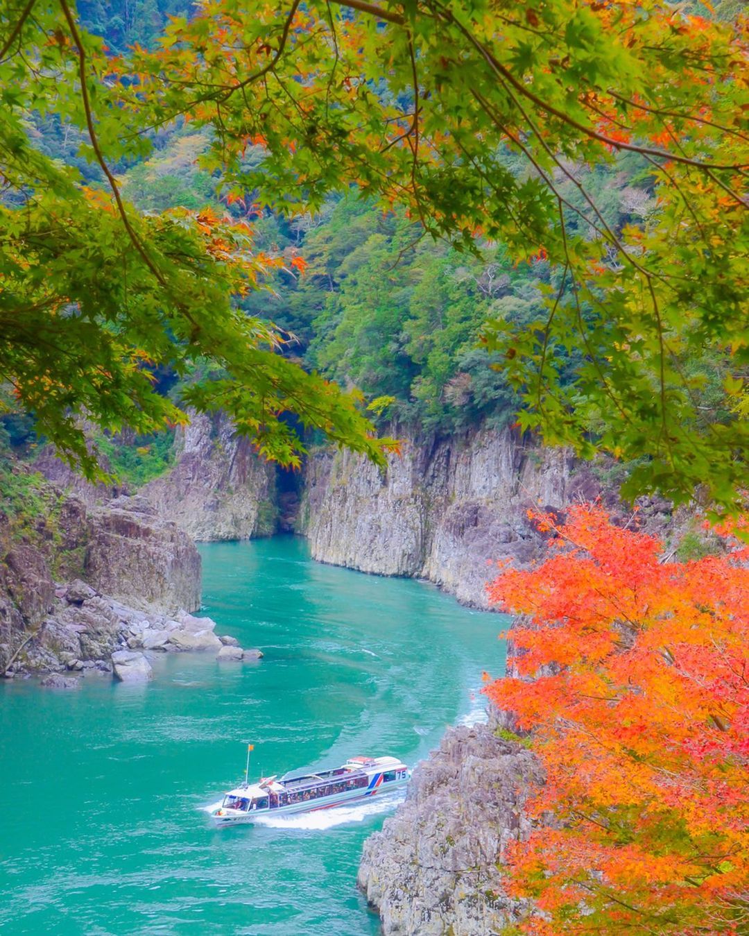 和歌山の紅葉を満喫 自然の美しさに癒される旅 和歌山 三重 田辺 新宮 串本の旅行モデルコース こころから