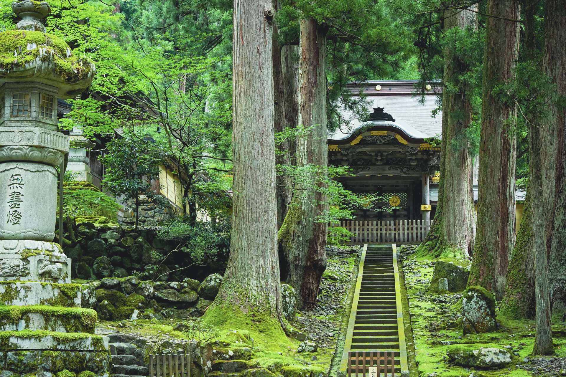こころを癒やす大自然に抱かれた福井で パワーチャージの旅 福井 福井 永平寺 越前の旅行モデルコース こころから