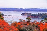 松島の絶景と、秋の味覚を堪能するグルメ旅