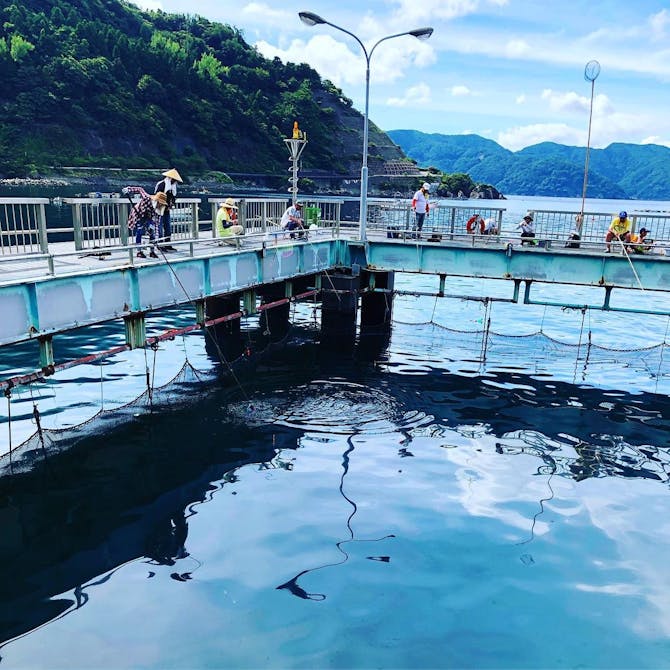 海釣り公園みかた こころから