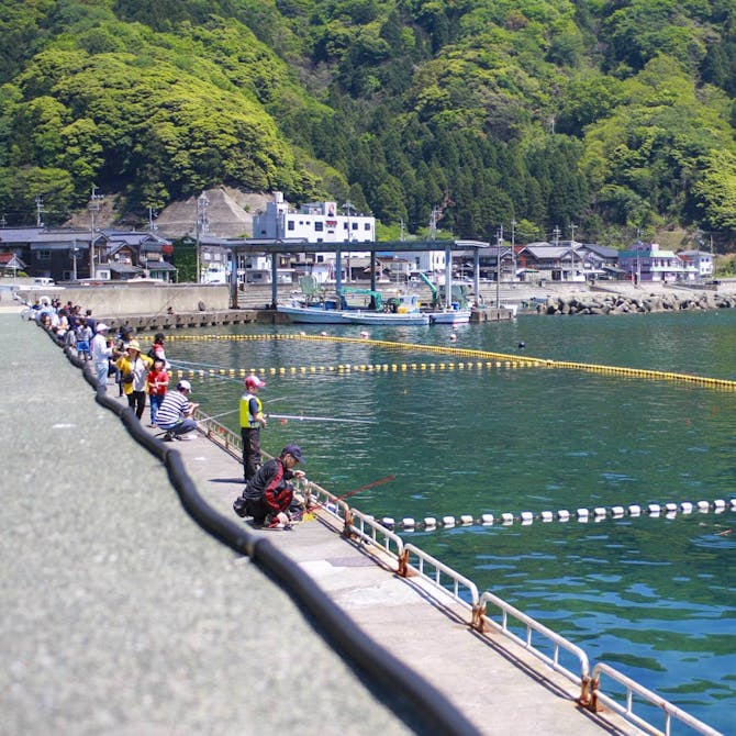 海釣り公園みかた こころから