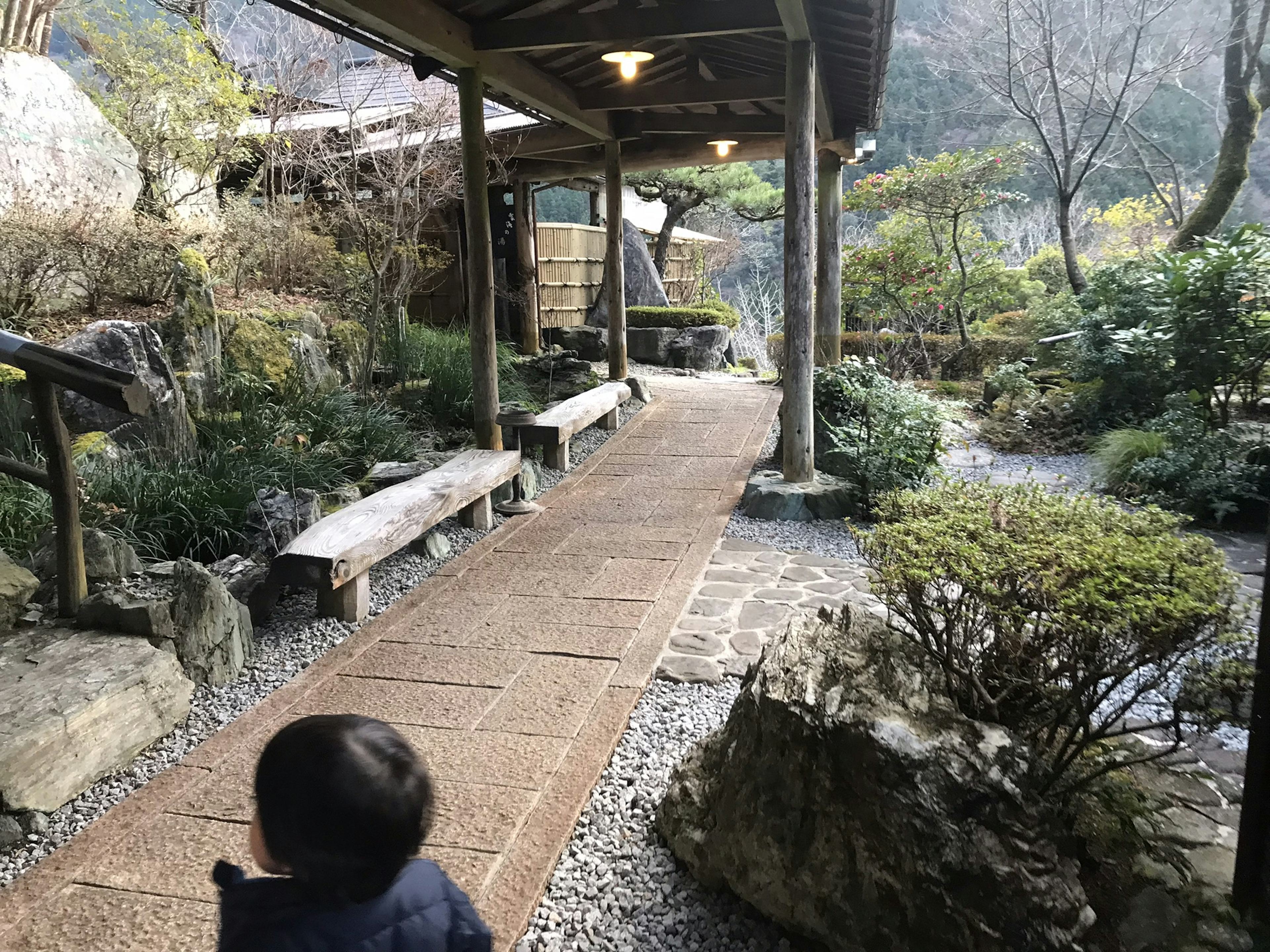 レビュー