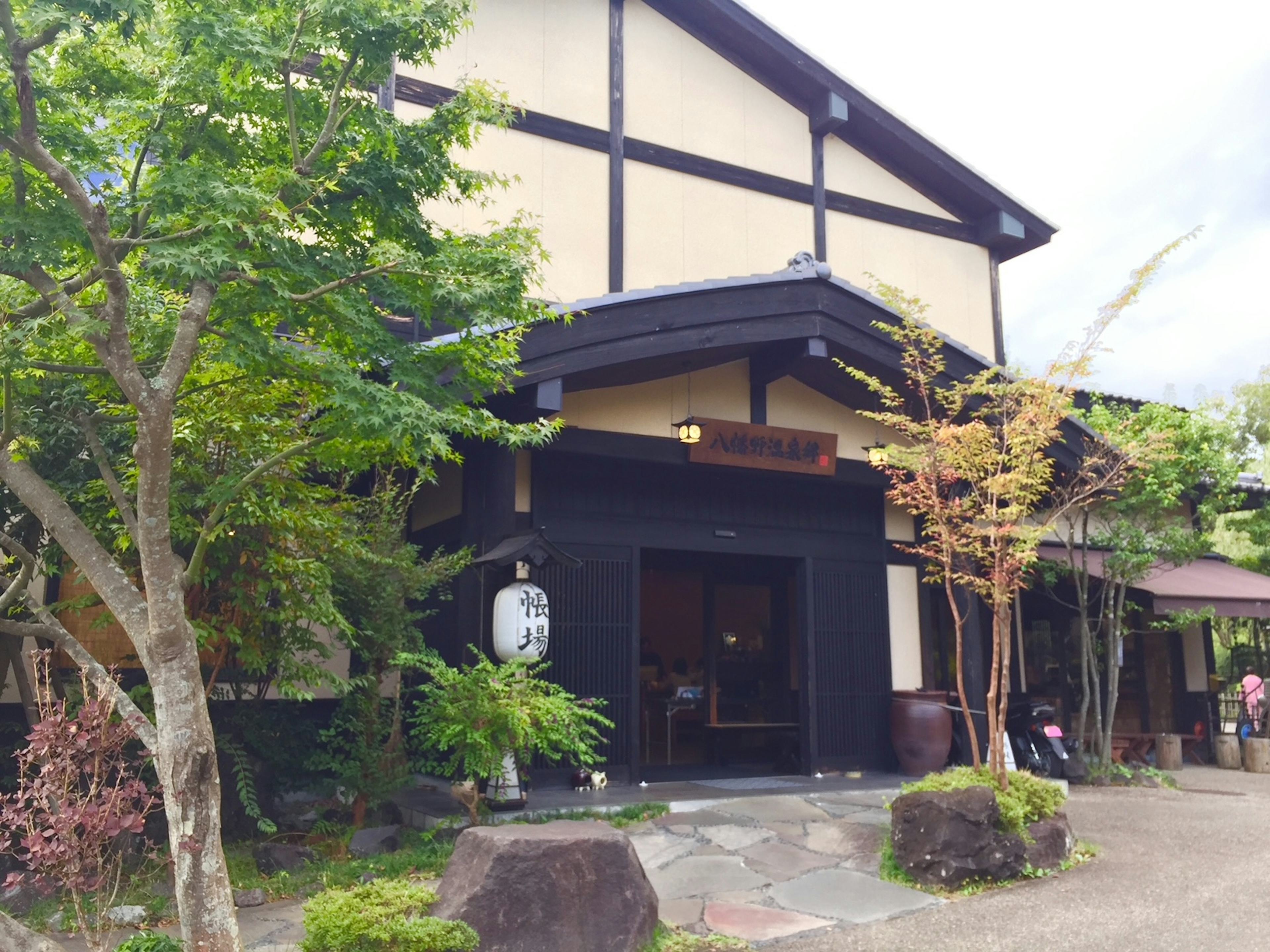 レビュー