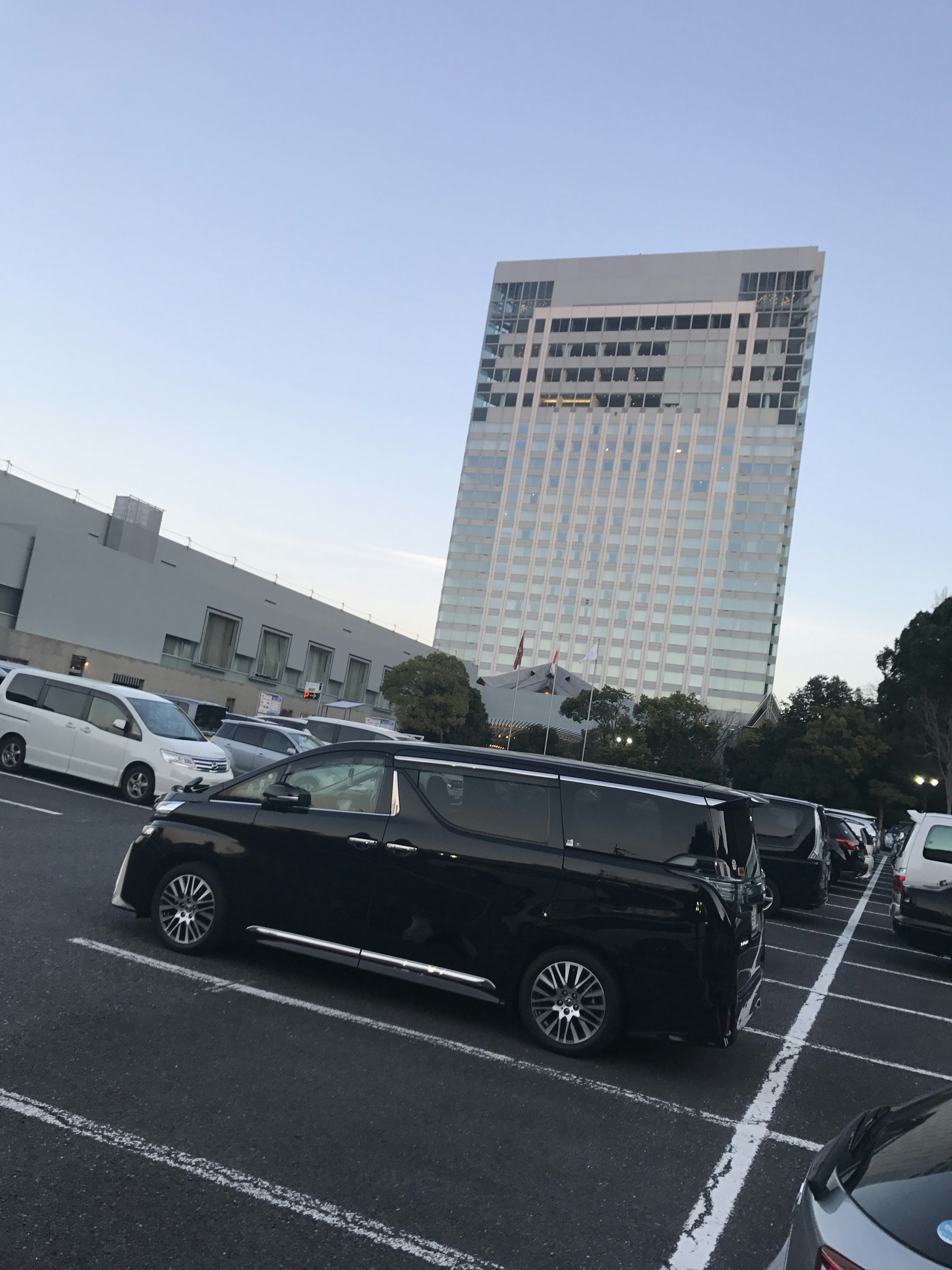 レビュー