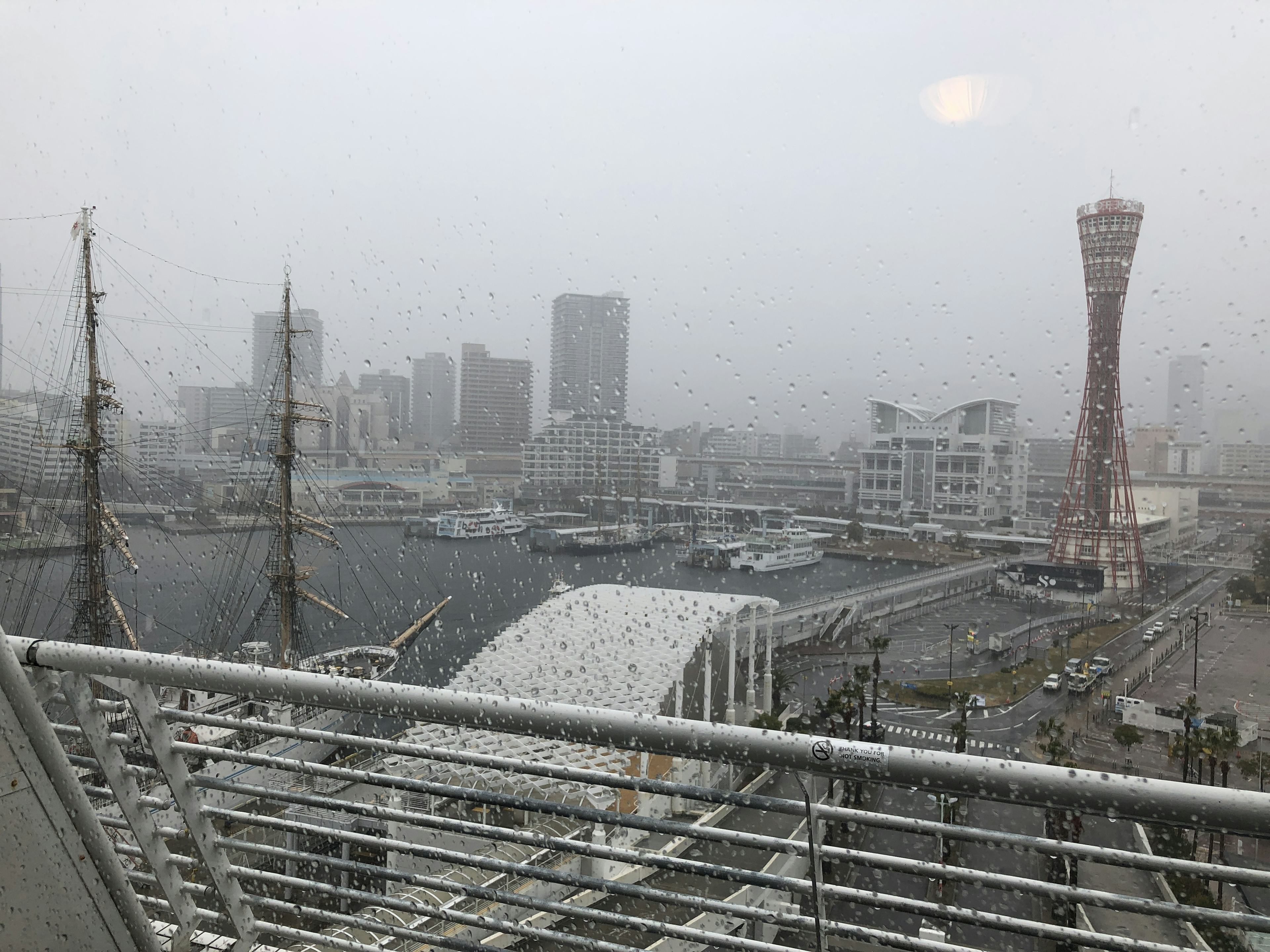 レビュー