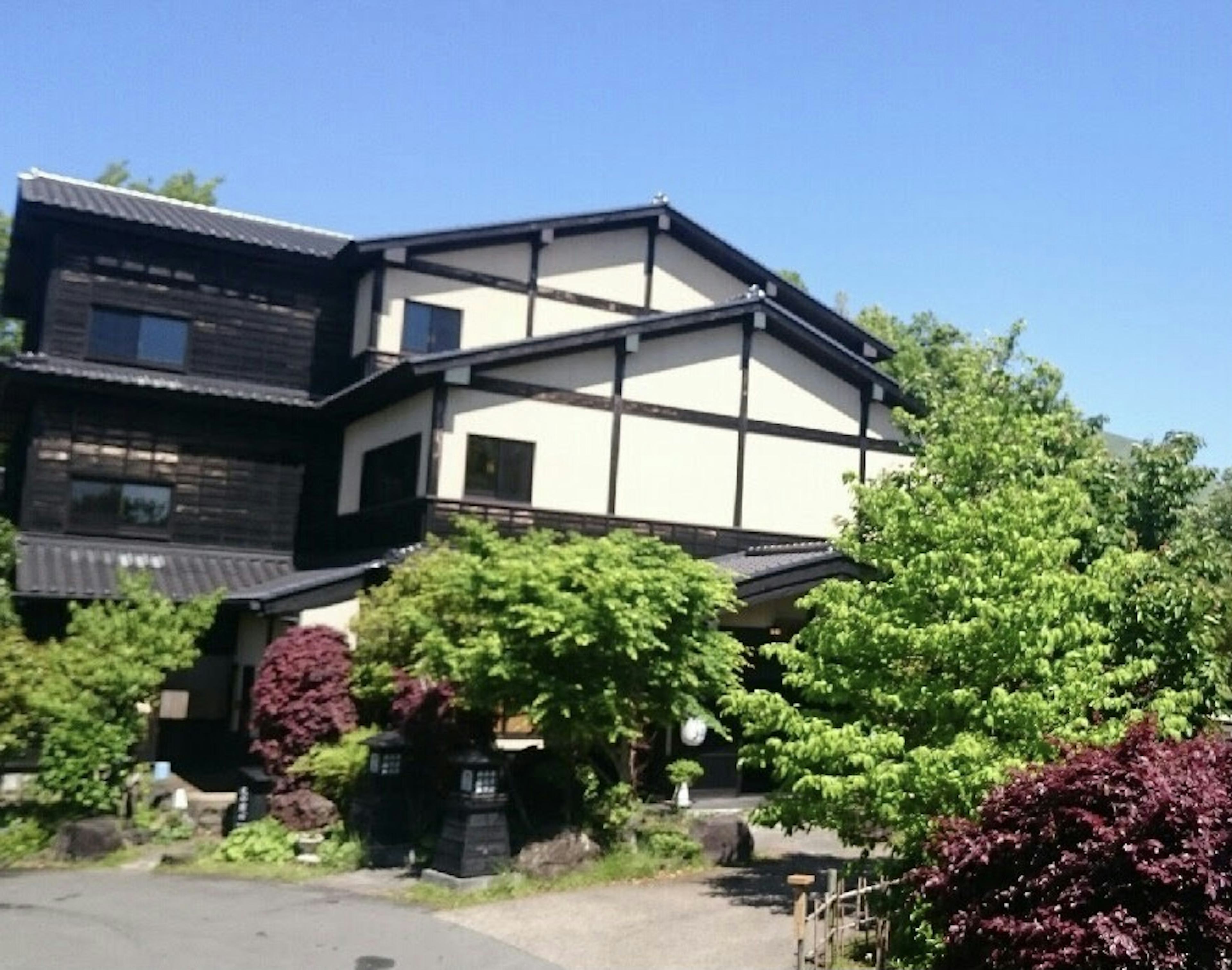レビュー