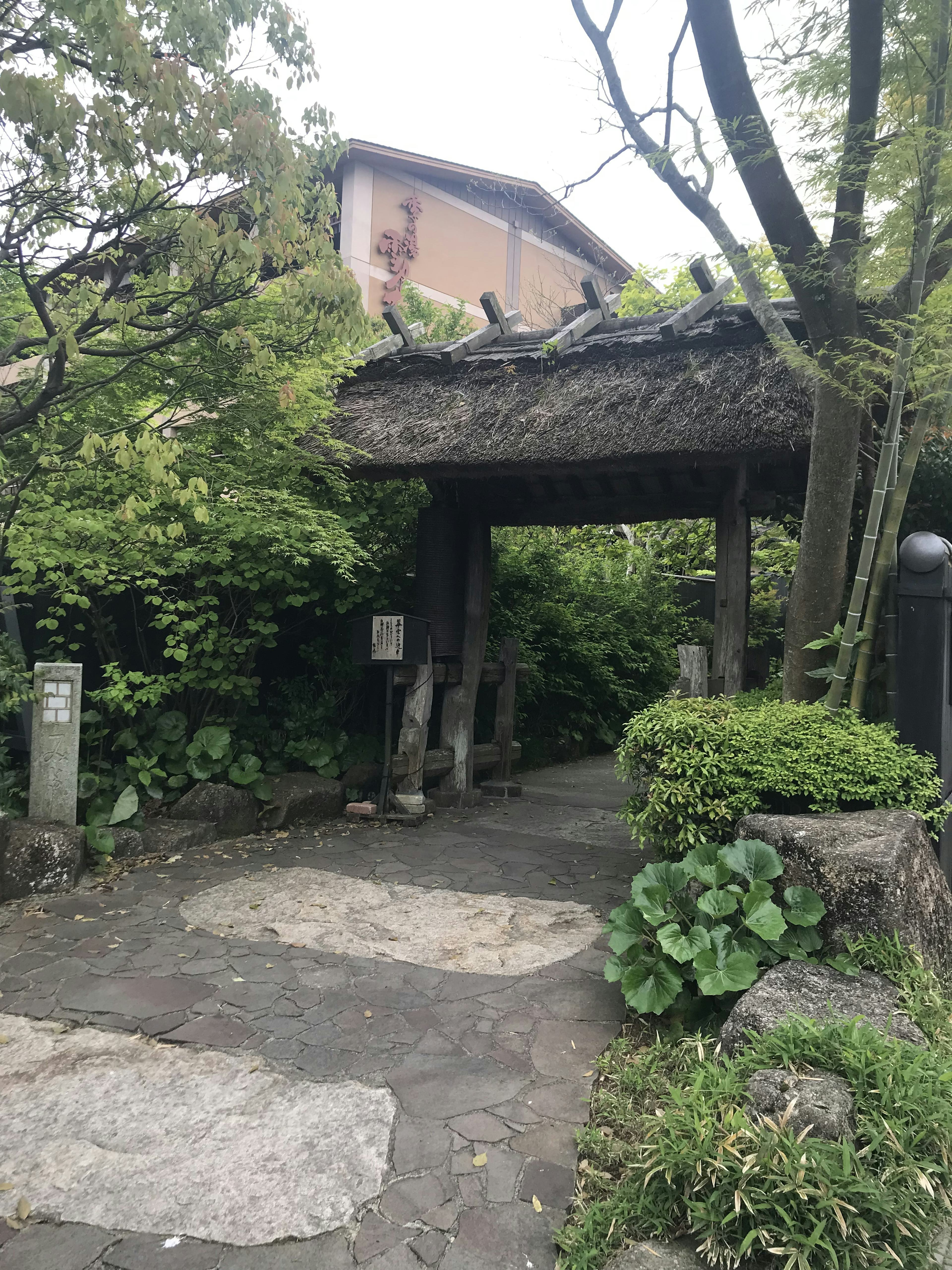 レビュー